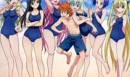 义母动漫后篇,命运交织的复仇之旅